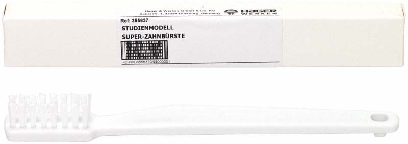 Zahnputzmodell BIG