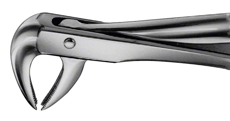 Anatomica-Zahnzangen nach Trotter